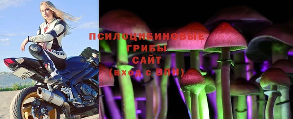 гашик Белокуриха