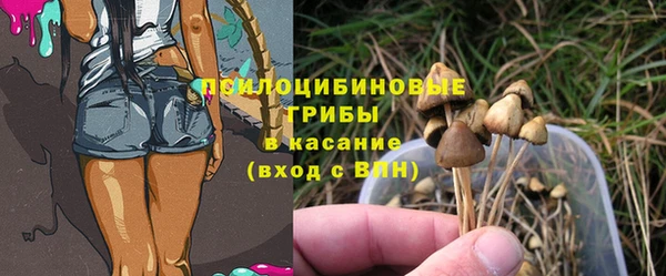 гашик Белокуриха