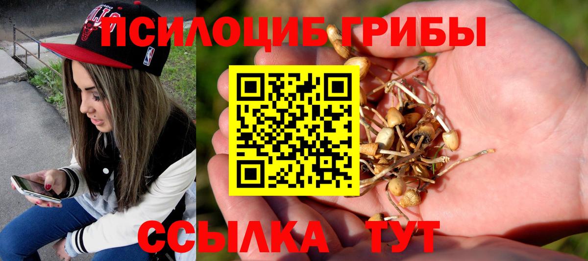Вязники  Галлюциногенные грибы мухоморы  Вход с VPN 